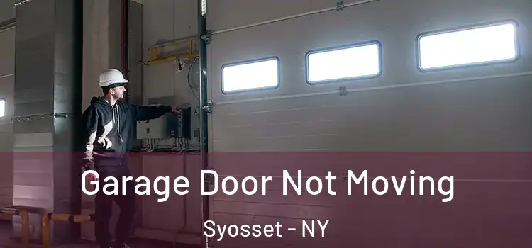  Garage Door Not Moving Syosset - NY