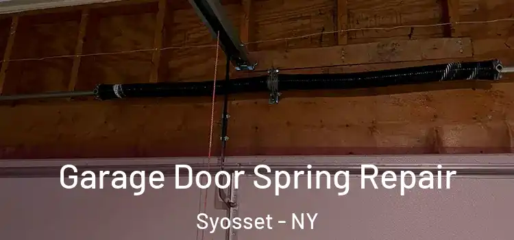  Garage Door Spring Repair Syosset - NY