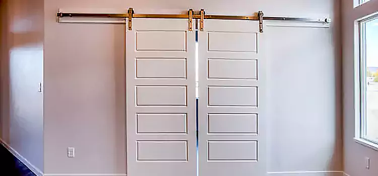 Glass Barn Door with Installation Hardware Kit Syosset