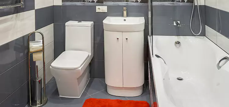 Hansgrohe Shaving Mirror Syosset